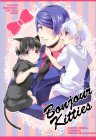 Bonjour Kitties