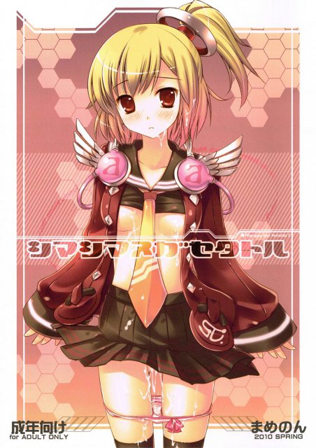 シマシマヌガセタトル : 1