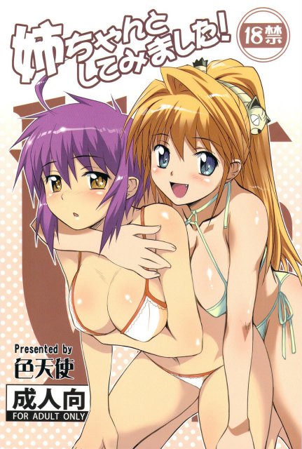 姉ちゃんとしてみました! : 1