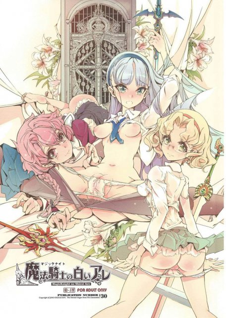 魔法騎士の白いアレ : 1