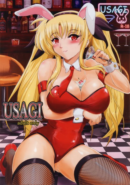 USAGI : 1