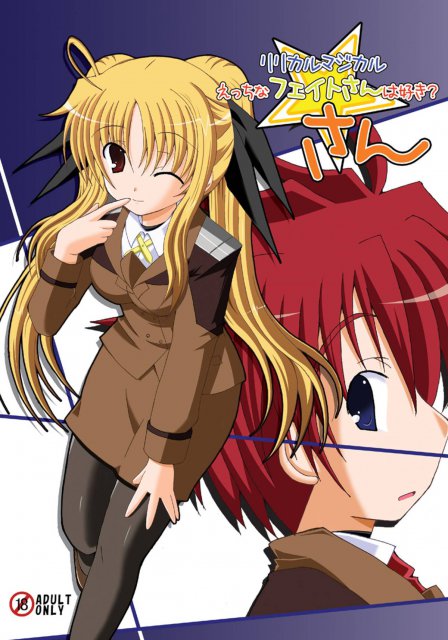 リリカルマジカルえっちなフェイトさんは好き？さん : 1