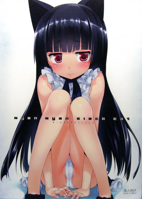Nyan Nyan Black Cat : 1