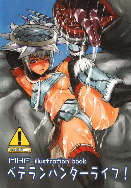 MHF ベテランハンターライフ! : 1
