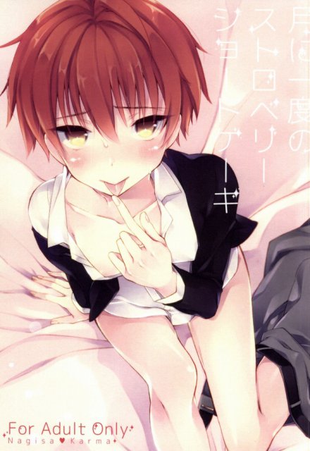 月に一度のストロベリーショートケーキ : 1