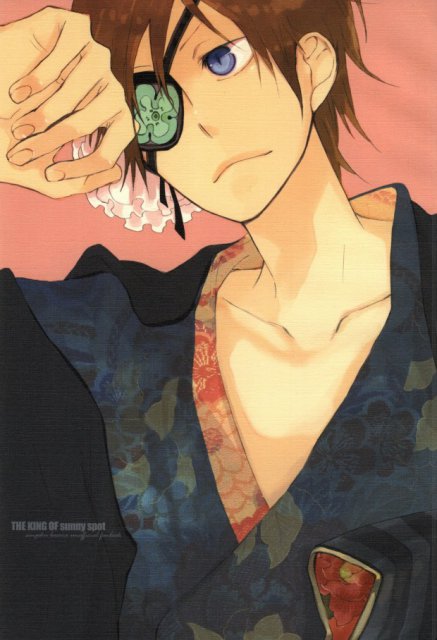 ひだまりの王 : 1