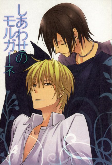 しあわせのモルガーネ : 1