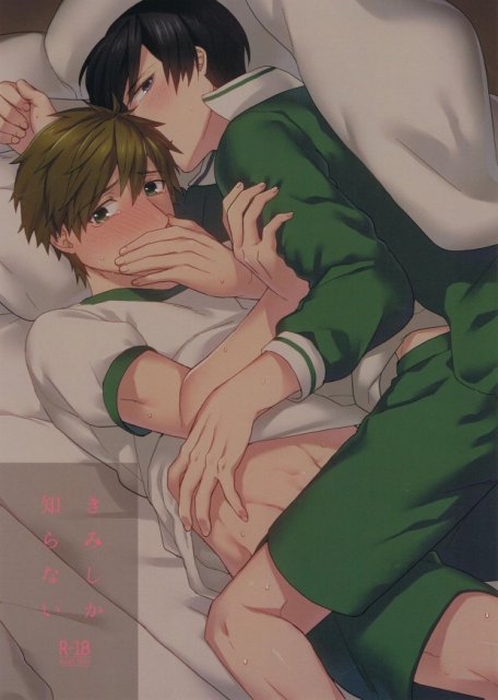 きみしか知らない : 1