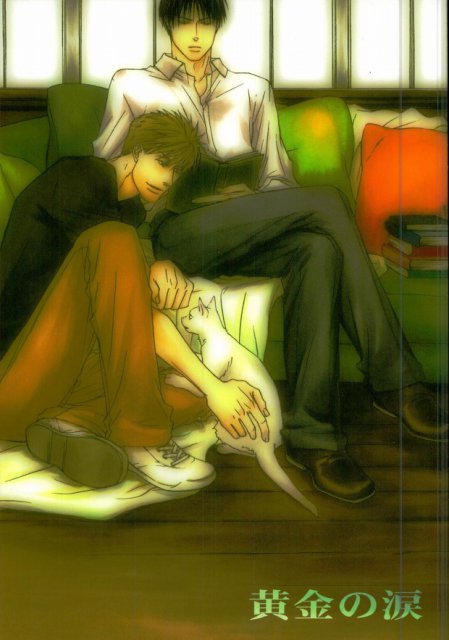 黄金の涙 : 1