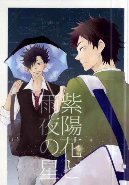 紫陽花と雨夜の星 : 1