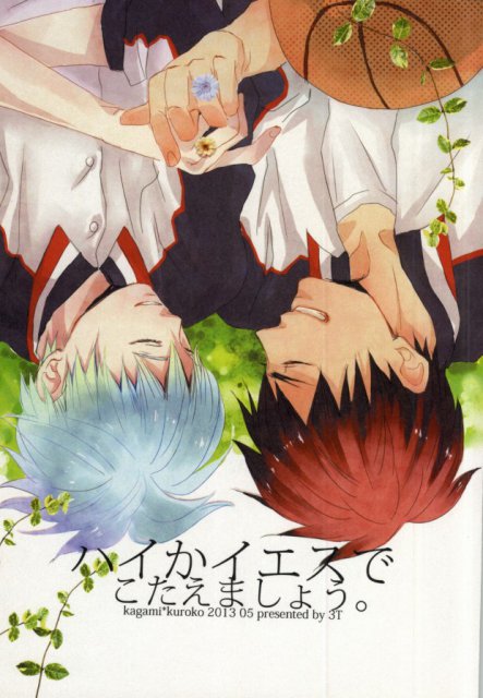 ハイかイエスでこたえましょう。 : 1