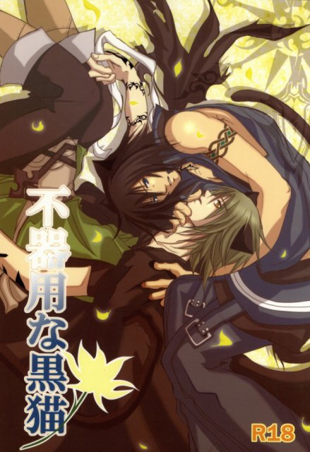 不器用な黒猫 : 1