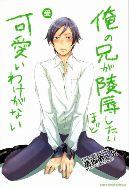 俺の兄が陵辱したいほど可愛いわけがない : 1