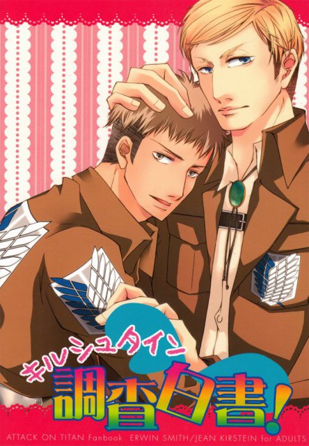 キルシュタイン調査白書! : 1