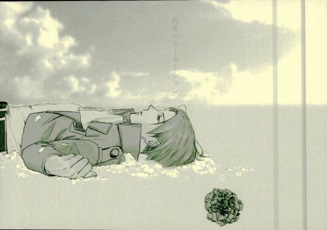 真冬のカーネーション : 1