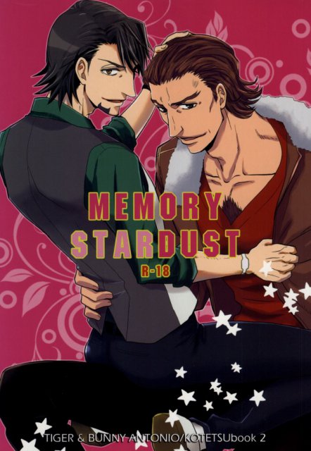 MEMORY STARDUST : 1
