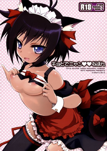 チョビでニャンなほん : 1