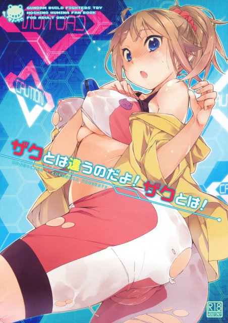 ザクとは違うのだよ！ザクとは！ : 1