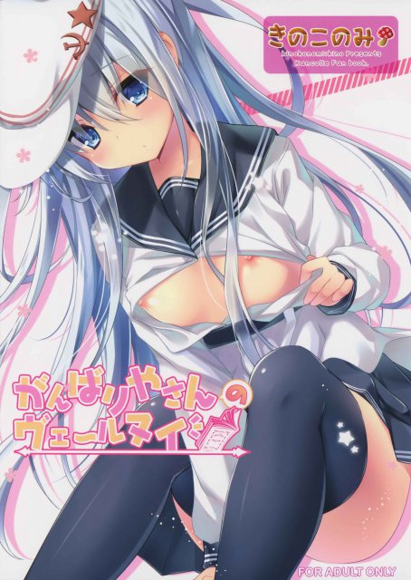 がんばりやさんのヴェールヌイ : 1