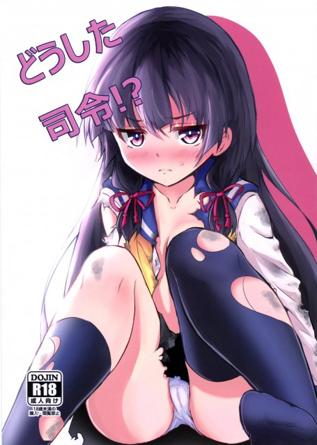 どうした司令！？ : 1