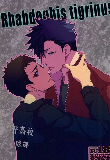 Rhabdophis tigrinus : 1