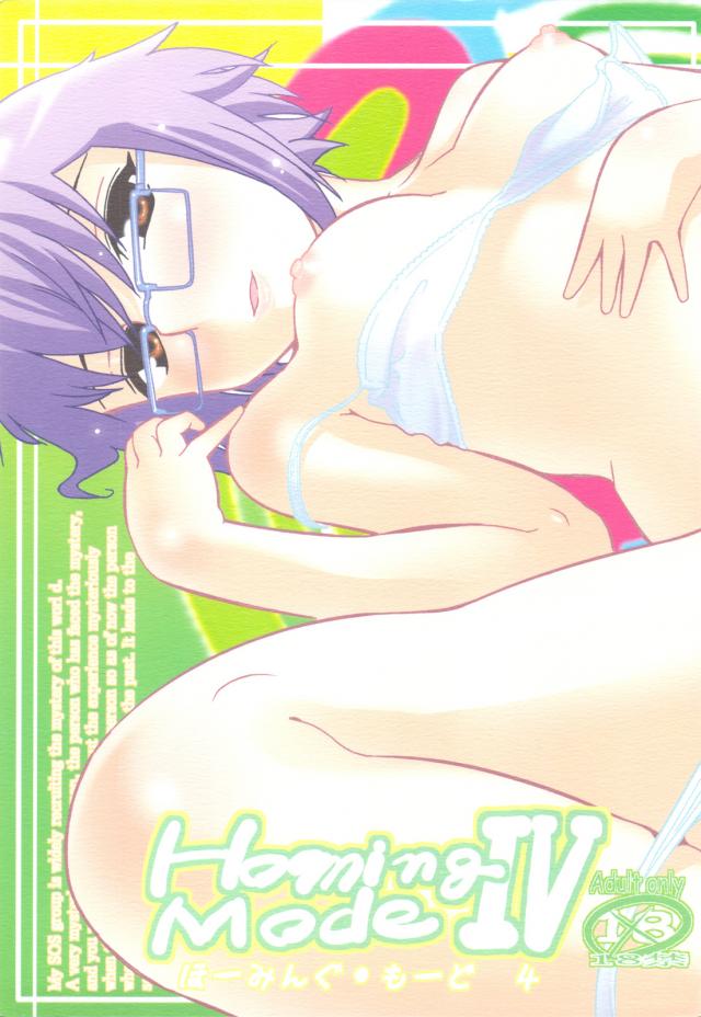 ほーみんぐ・もーど 4 : 1