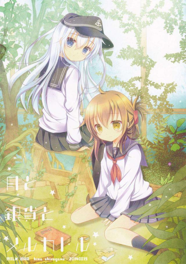 月と銀貨とメルカトル : 1