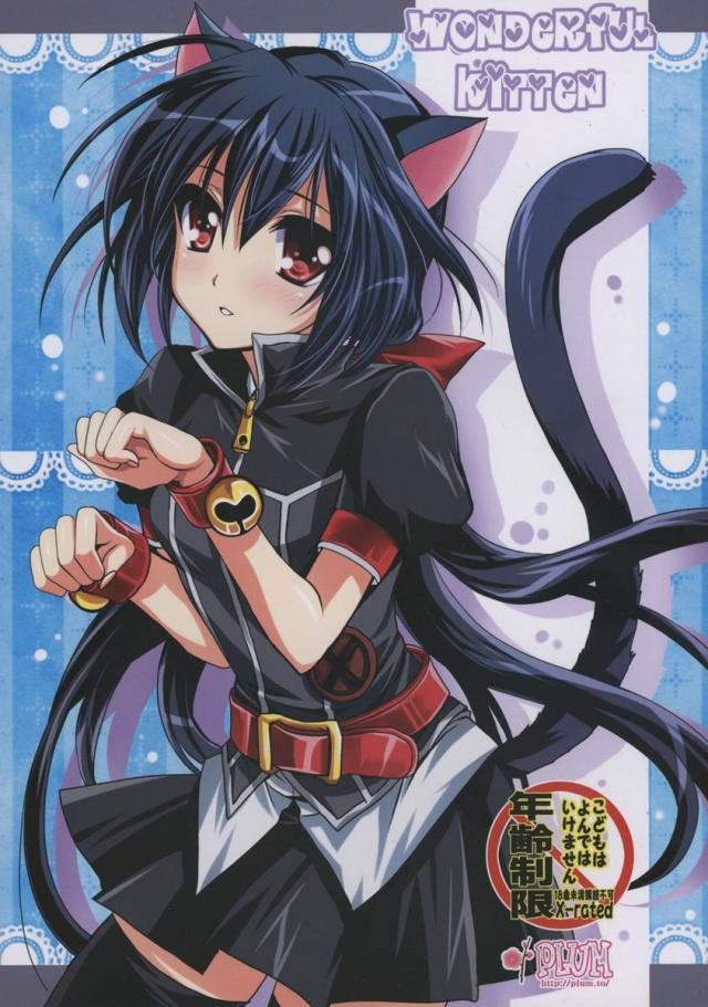 WONDeRFUL KITTeN : 1