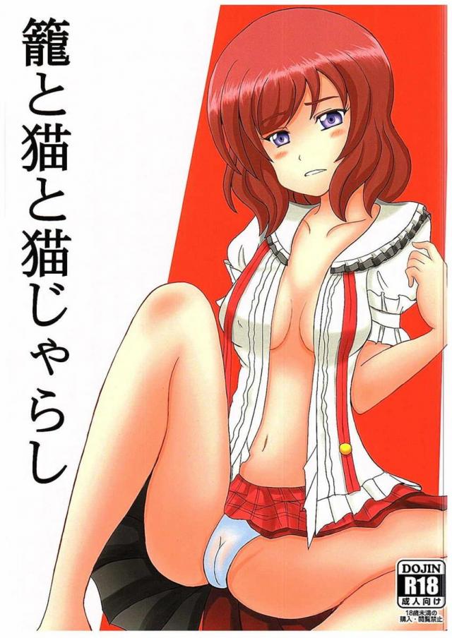 籠と猫と猫じゃらし : 1