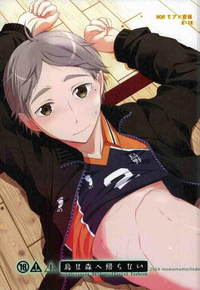 鳥は森へ帰らない : 1