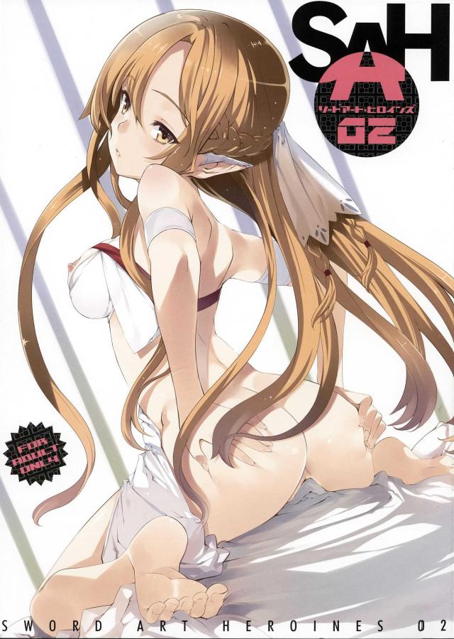ソードアート・ヒロインズ2 : 1