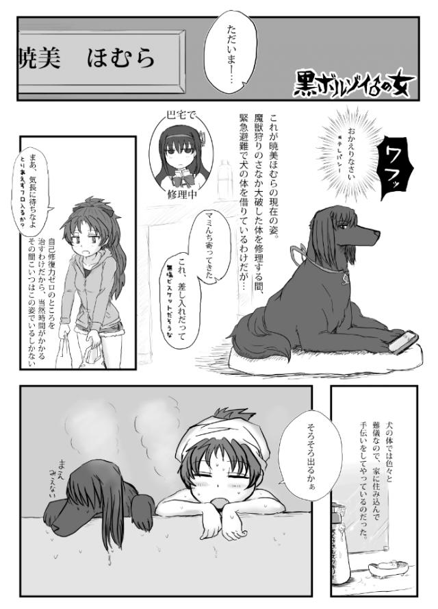 黒ボルゾイの女 : 1