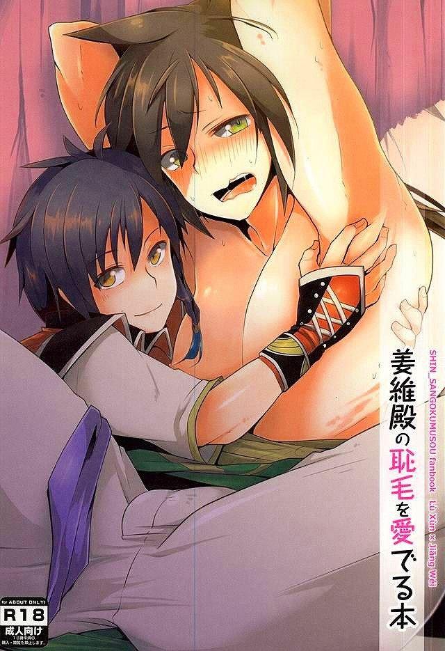 三國無双BLアダルト本1010 : 1