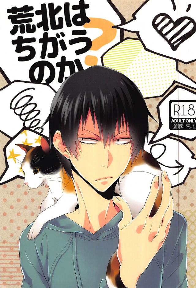 荒北はちがうのか? : 1