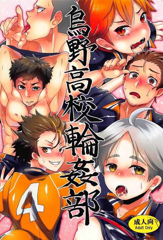 烏野男子モブ姦合同誌 : 1