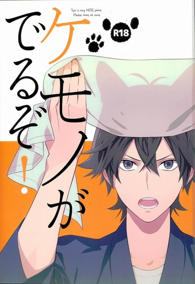 耳しっぽ付きヒロ清コメディ : 1