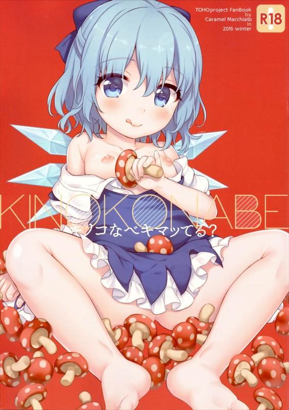 【フルカラー】キノコ鍋をキメてセックスする本 : 1