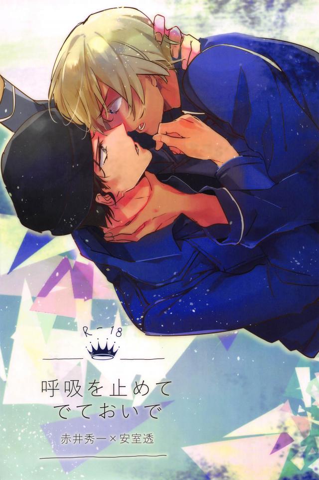 複雑な心境のままに関係を結ぶ赤井と安室のお話 : 1