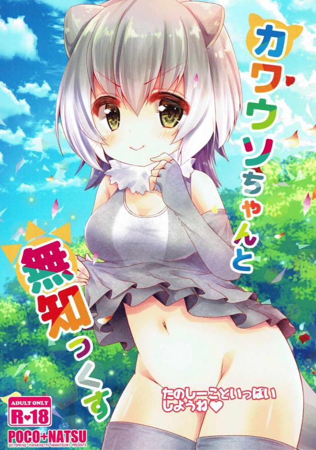 何知らないカワウソちゃんにえっちごっこを教えてあげる : 1