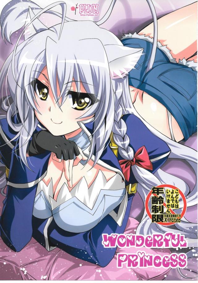 レオ閣下初エッチ本 : 1