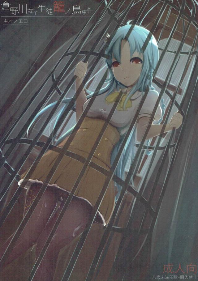 東雲心菜がおじさんに脅されて目隠しガムテでレイプされる本 : 1