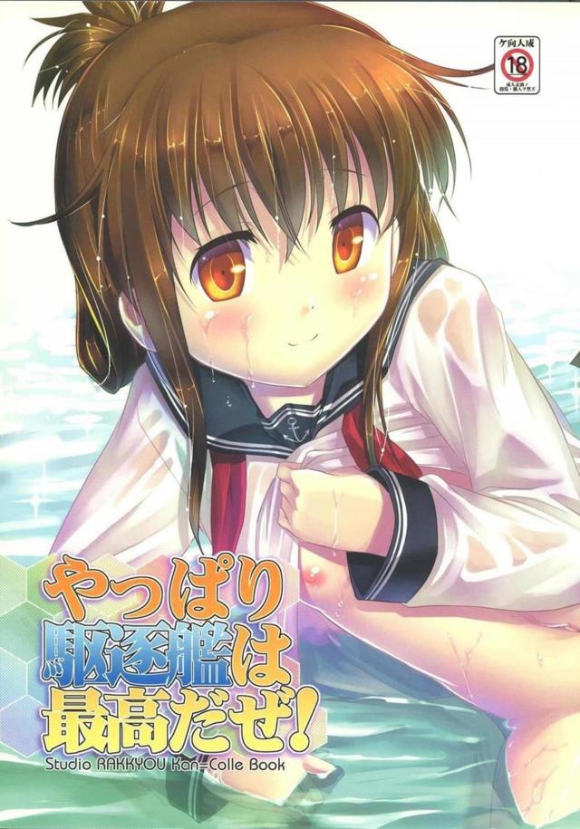 控えめな電ちゃんがカワイイので子作りします。 : 1