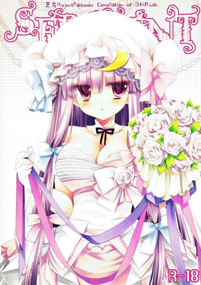 カラー漫画も含めたパチュリーばっかり総集本 : 1