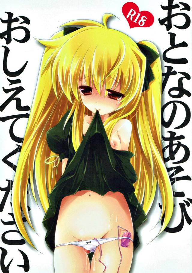 ローターの使い方がわからない無知ロリフェイト : 1