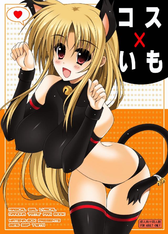 猫耳しっぽで黒ニーソなフェイトとラブラブセックス : 1