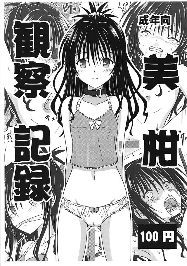 美柑の監禁陵辱調教日誌 : 1