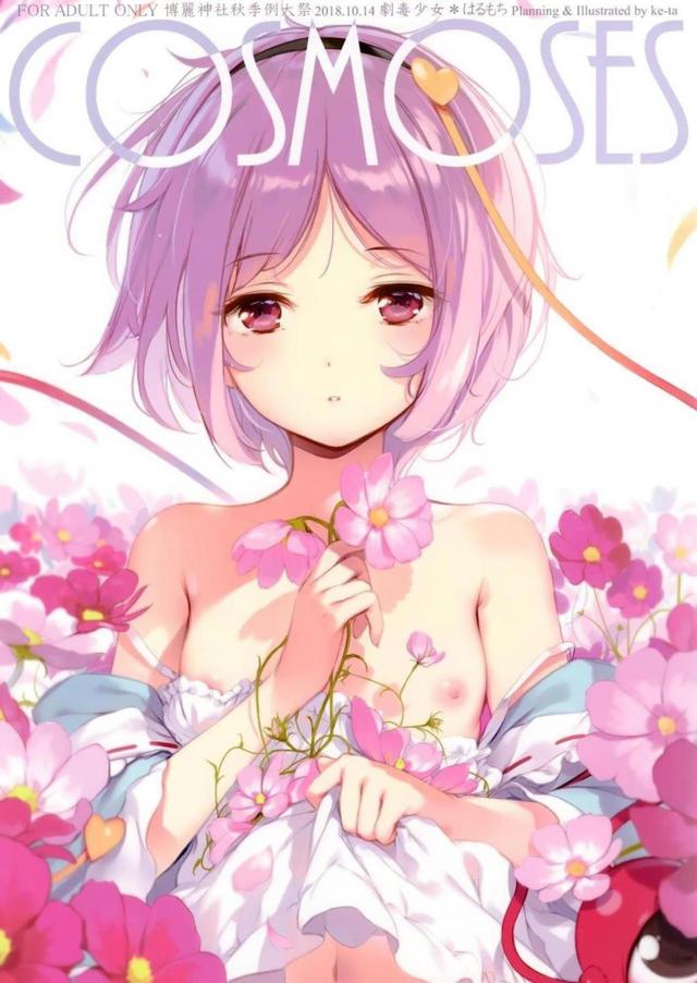 古明地姉妹、巫女コンビの美麗フルカラーイラスト集 : 1