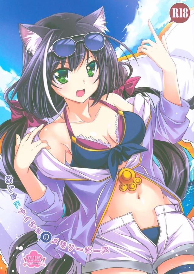 シリアスキャル本 : 1