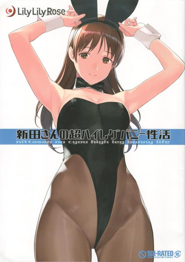 美尻と美乳が際立つハイレグバニーコス : 1