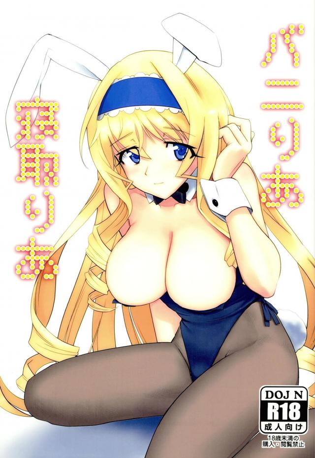 デカマラ子宮姦ピストンで堕ちる! : 1